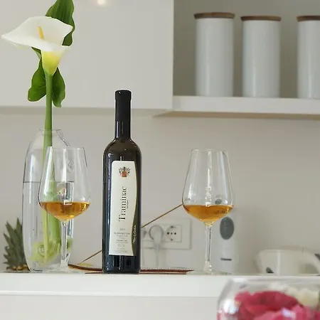 Apartment Luxury Antica *